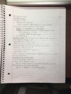 Week 2 notes