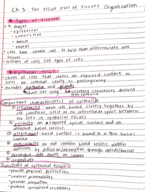 Anatomy Week 2 notes 