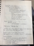 Criminology 
