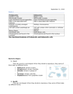 Microbiology week 2 notes