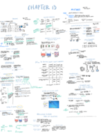 CHM 1046 General Chemistry Chapter 13 Notes Pt 1