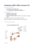 BIO 290- Human Anatomy- First Class 