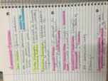 POSI-Week 2 Notes