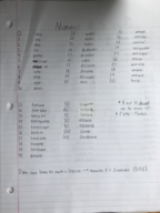 Elementary Italian Notes - Week 2 (ITAL 1010)