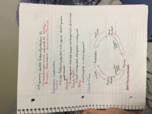 Chapter 2: The Economic Problem