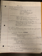 ACCT 410
