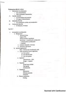Prokaryotes