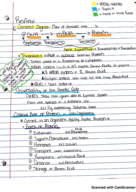 Central Dogma and Embryonic Development 