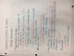 Exam 1 study guide