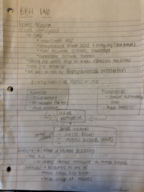 BBH 146 Week 1 Notes