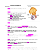 Lecture Notes for 9/10, Lower Appendicular Skeleton