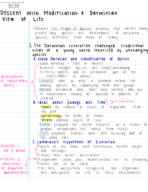 Ch 22 notes