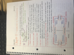Chapter 5 - Introduction to Macroeconomics