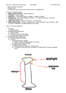 Kin 190 Anatomy and Physiology 