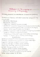Directional Terms