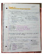 MGMT 4311, WEEK 3 NOTES