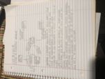 CHE 109 1.1 notes