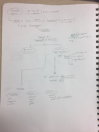 DOSAGE FORM 1 - Exam 1 - Study Note