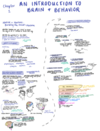 PSB 4240 Chapters 1-3 Study Guide for Exam 1