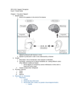 SPA 3123- Exam 1