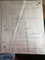 PSCI 3100; Latino Politics 
