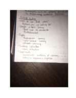 ANT 107 9/10 class notes