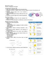 Biology 213 Notes