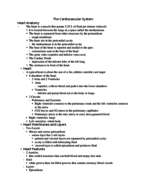 The Cardiovascular System