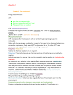 bio 1010 week 5 notes