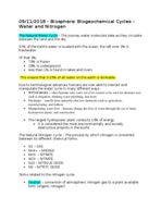 Sustainability Notes Week 4