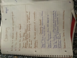 Chapter 1 Notes