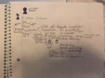 Law notes