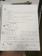 GOBC Week 4 Exam I Review