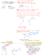 Week 4 Organic Chemistry Notes 