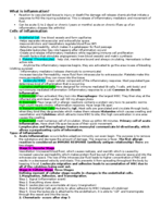 Patho inflammation study guide