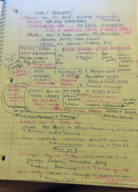 Physical Anthropology, Week 1