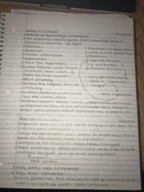 Week 1 Notes