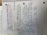 Accounting wed sept 19 notes ( No class monday)