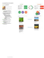 Enviormental Science and Sustainability