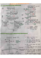 Unit 2: Chapter 5 Metabolism 