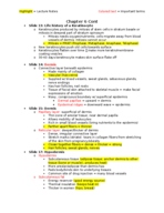 Week 3 Notes