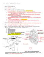 Ansc 318 Physiology of Reproduction