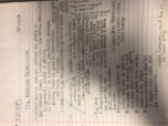 20th Century Social and Political History <week 1 notes>