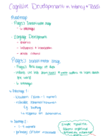 Week 3 Notes Child Development