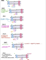 notes