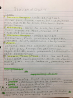 Arts, Music, and Entertainment 