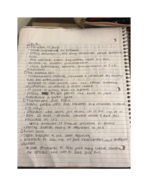 CJC204 Week 3 Ch. 4 Notes