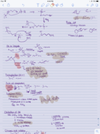 Exam 1 Review 11-12