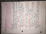 POLS1101 WEEK 5, day 1