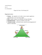 Bio 101 - Week 5/6 Notes on Kinetic Energy